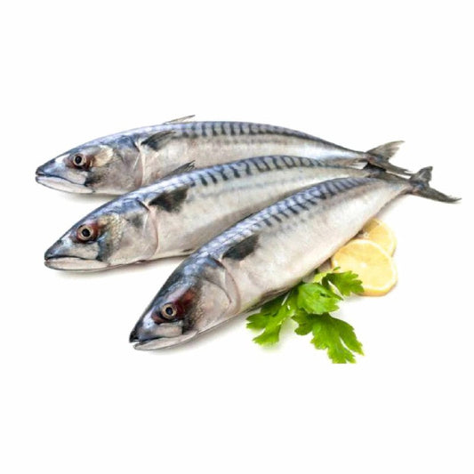 Frozen Mackerel - SMK African Store