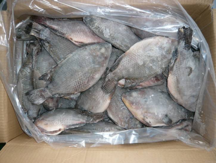 Tilapia Box 5Lb - SMK African Store