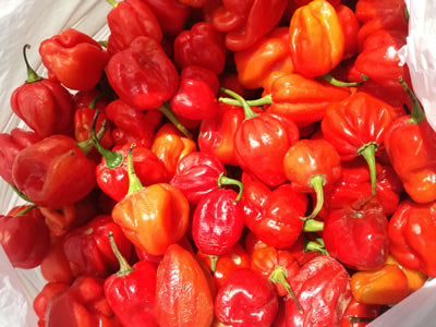 Ata Rodo (Scotch Bonnet) 2 lB pack - SMK African Store